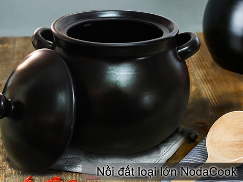 noi dat loai lon Noda