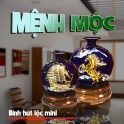 Bình hút lộc cho người mệnh mộc