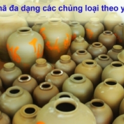Chum sành đa dạng kích cỡ