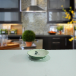 Đĩa muối bé vẽ chuồn