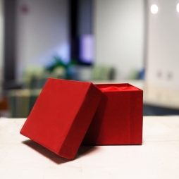 Hộp si lót lụa đỏ