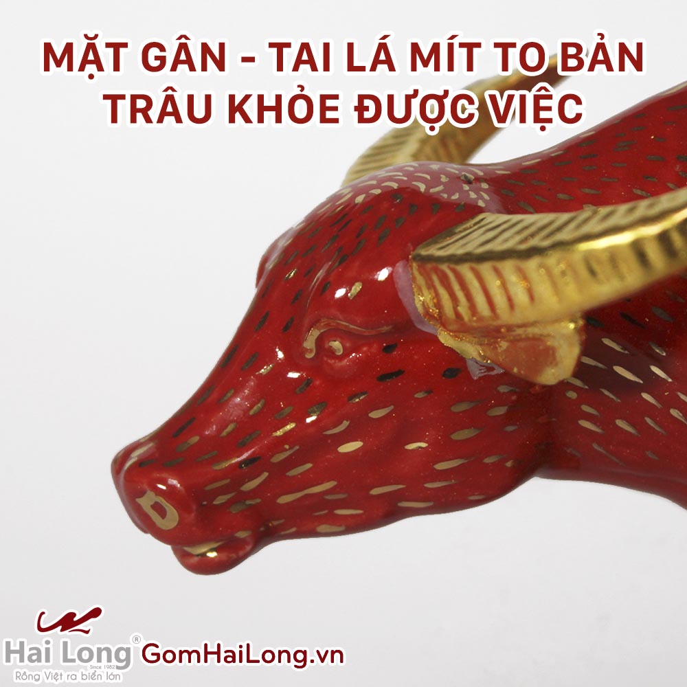 mặt gân trâu khỏe
