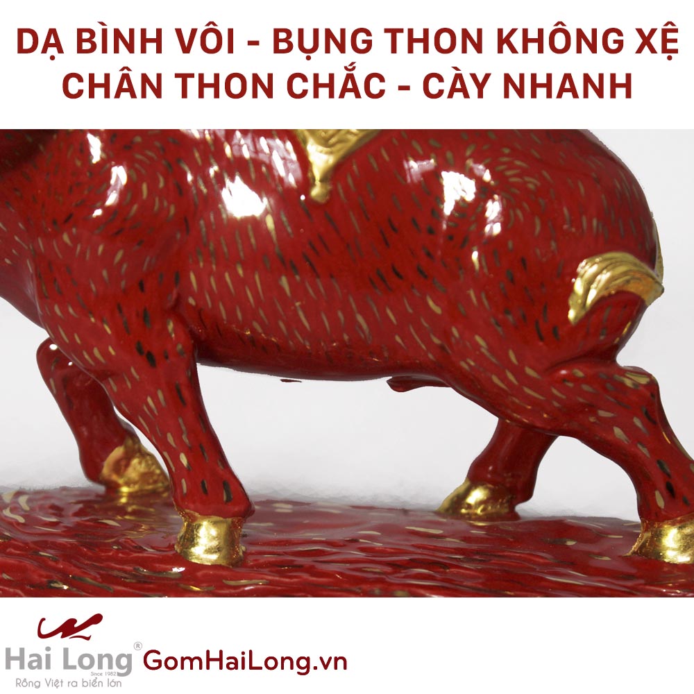 bụng thon không xệ chân thon chắc cày nhanh